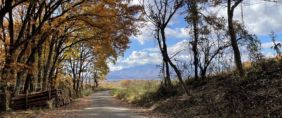 秋の山