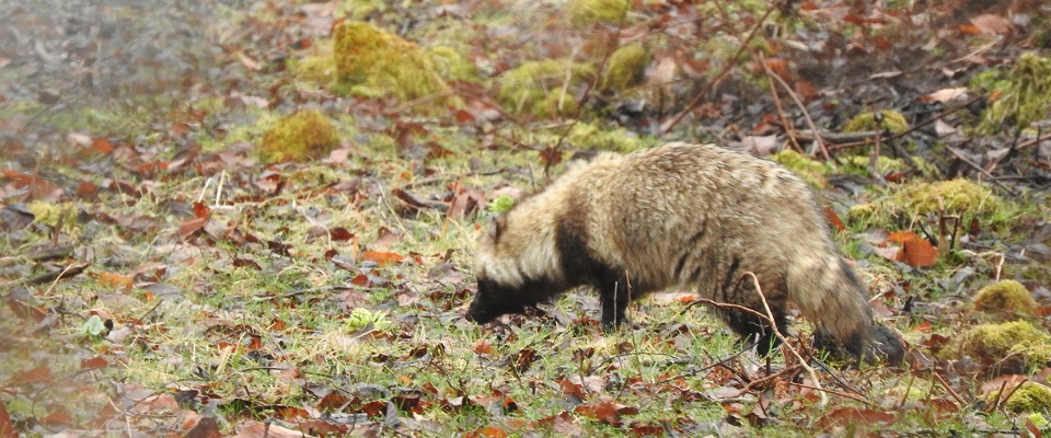 山と川と暮らし